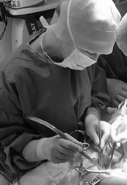 Dr FITREMANN Caroline